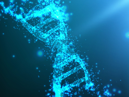 SCI論文發(fā)表支持