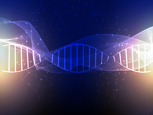  SCI論文審稿回復信修改潤色服務(wù)