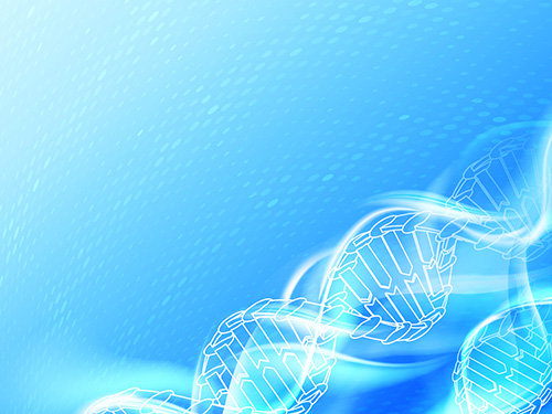 lncRNA，miRNA和mRNA關(guān)聯(lián)分析